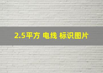 2.5平方 电线 标识图片